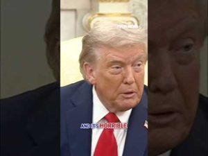 Read more about the article Trump reveals Melania’s ‘touching’ plea to Putin to end Ukraine war #trump #putin #shorts #russia