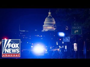 Read more about the article Dems ‘basically created’ a lot of the higher crime in DC with their liberal policies: Leroy Thorpe