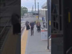Read more about the article ‘GIVE HER TO ME’: Frightening footage captures baby kidnapping attempt #shorts #foxnews #news #us