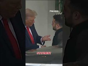 Read more about the article Trump SHOCKED Zelenskyy, Putin ‘getting along’ #shorts #foxnews #news #us #trump #zelenskyy #putin
