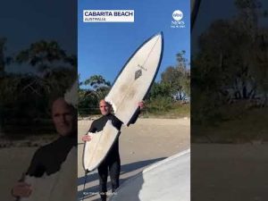 Read more about the article Shark takes big bite out of Australian surfer’s board