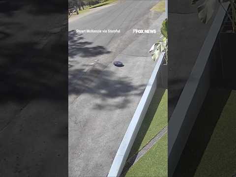 You are currently viewing FINAL SWEEP: A robot vacuum met an unfortunate end… #shorts #robot #technology #viral #news #usa