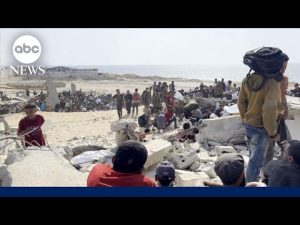 Read more about the article Prime Focus: A dangerous journey for food in Gaza