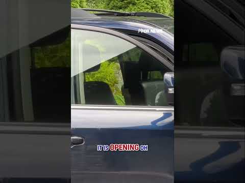 You are currently viewing CLEVER BEAR: Black bear opens woman’s car doors in driveway #shorts #wildlife #bear #car #crazy #us