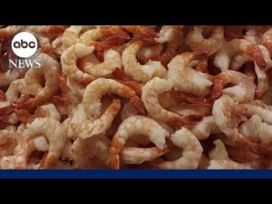 Read more about the article Radioactive shrimp sold at Walmart recalled: FDA