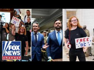 Read more about the article ‘CRAZY protesters’ confront Vance and Hegseth in DC
