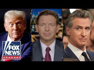 Read more about the article DeSantis calls out Newsom for trying to be ‘fresh’ with Trump