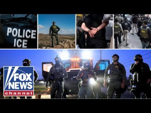 Read more about the article Fox News gets exclusive look inside ICE’s rigorous training program