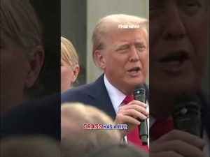 Read more about the article Trump’s got the GRASS TOUCH #shorts #usa #trump #politics #foxnews