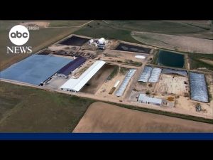 Read more about the article Investigation underway after Colorado dairy farm accident kills 6 people