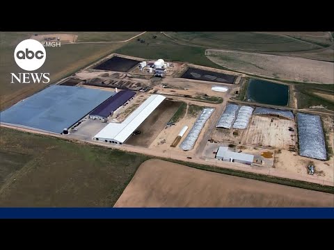 You are currently viewing Investigation underway after Colorado dairy farm accident kills 6 people