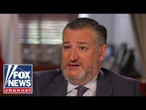 Read more about the article Ted Cruz: These are ‘REALLY DISTURBING’ revelations