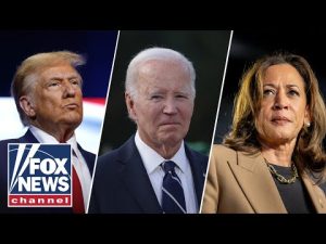 Read more about the article ‘ASTONISHING’: Former Biden spokesperson makes BOLD admission