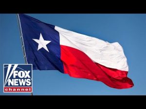 Read more about the article WATCH: Texas Senate considers Trump-backed redistricting map