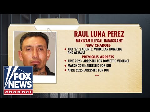 Read more about the article NEW: ICE detains migrant accused of killing mother, child in drunk driving crash