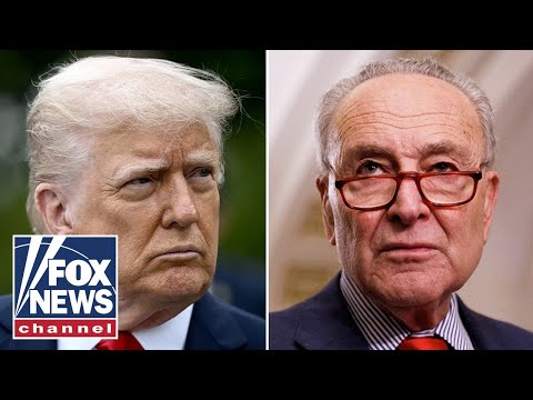 Read more about the article Trump sends scathing message to Schumer as nominees stalled: ‘GO TO HELL!’