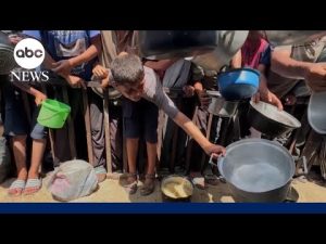 Read more about the article Famine declared in Gaza City, says report