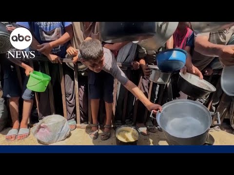 Read more about the article Famine declared in Gaza City, says report