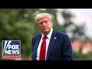 Read more about the article Trump torches ‘unfair media’: ‘We are winning on EVERYTHING!’