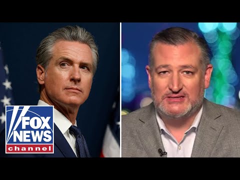 Read more about the article Ted Cruz torches Gavin Newsom over redistricting: He is ‘dishonest and he is a hypocrite’