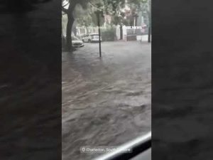 Read more about the article ‘NO WAKE ZONE’: Driver navigates flash flooding in Charleston, South Carolina #shorts