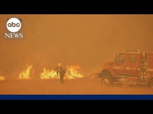 Read more about the article Firefighters battle flames in California as heatwave scorches West