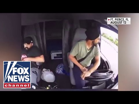 You are currently viewing Petition backing migrant trucker garners MILLIONS of signatures