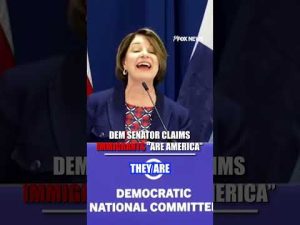Read more about the article ‘Immigrants don’t diminish America, they are America’: Senator takes dig at Trump #shorts  #foxnews