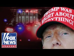 Read more about the article THE TRUMP ‘TRAP’: Dems appear to defend criminals in MAGA crime crackdown