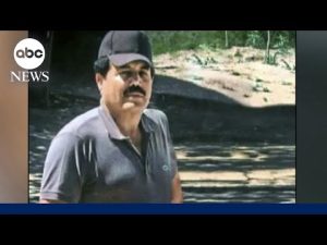 Read more about the article El Mayo, the infamous Mexican drug lord, pleads guilty in New York