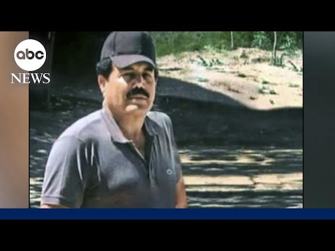 You are currently viewing El Mayo, the infamous Mexican drug lord, pleads guilty in New York
