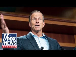 Read more about the article Senate Republicans look to bypass Democrats: ‘We’ll change the rules’