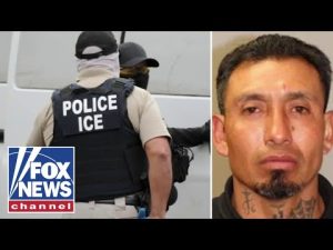 Read more about the article Illegal immigrant allegedly kills mother and daughter in drunk driving collision