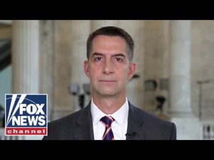 Read more about the article Hamas counts on international media to do its ‘dirty work’ for them, says Sen Tom Cotton