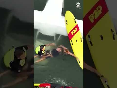 You are currently viewing Pilot rescued in less than 30 seconds after plane ditches in ocean