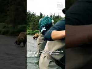 Read more about the article Seattle Kraken mascot has close call with grizzly bear