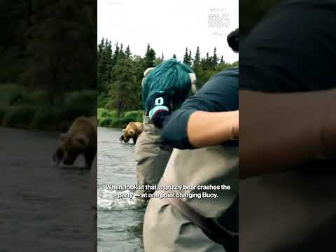 You are currently viewing Seattle Kraken mascot has close call with grizzly bear