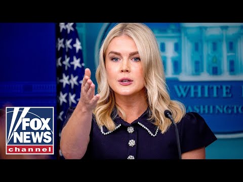You are currently viewing WATCH LIVE: Karoline Leavitt holds White House press briefing