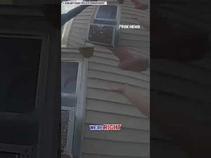 Read more about the article WATCH: Dramatic rescue as child leaps from burning house #shorts #viral #foxnews #news #us #fox