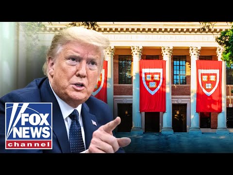 You are currently viewing Trump sparks Republican OUTRAGE with visas for Chinese students
