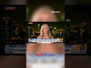 Read more about the article DNC pushes identity politics to shed the ‘weak, whiny and woke’ label #shorts #new #news #politics