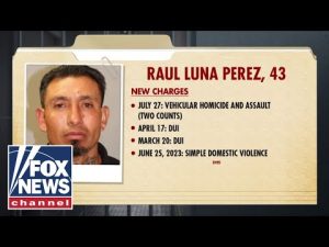 Read more about the article ‘Disgusting’ sanctuary polices under fire as immigrant with prior DUIs allegedly kills mom, daughter