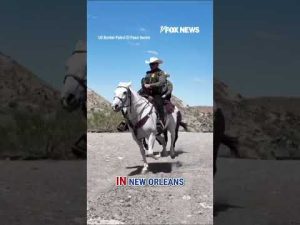 Read more about the article Border Patrol releases satirical ad playing on Sydney Sweeney controversy #shorts #foxnews #news