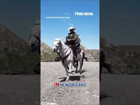 You are currently viewing Border Patrol releases satirical ad playing on Sydney Sweeney controversy #shorts #foxnews #news