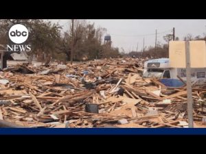 Read more about the article Hurricane Katrina survivor-turned-psychiatrist on processing climate-related trauma