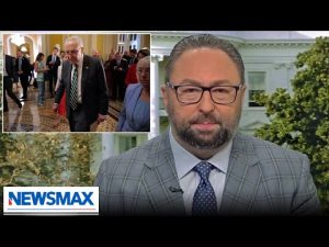 Read more about the article All Democrats can do is try to obstruct Trump: Jason Miller | Newsline