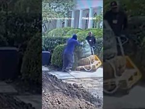 Read more about the article ‘WE CAUGHT THEM’: Trump BANS contractor over Rose Garden damage #shorts #foxnews #news #us #fox
