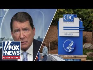 Read more about the article The CDC has been at the ‘epicenter’ of the ‘deep state failure’: Sen. Hagerty