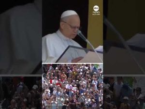 Read more about the article Pope Leo denounces ‘pandemic of arms’ after Minnesota school shooting