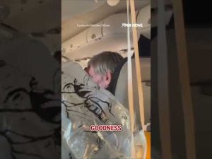 Read more about the article ‘HE HIT THE CEILING’: Traveler shares harrowing footage after flight drops thousands of feet #shorts